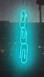 Neon Paperclips: 2-Day Class, 9/12-9/13/26