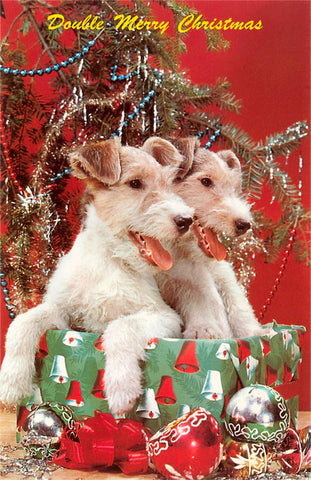 Two dogs in a box that is wrapped in a Christmas-themed wrapping paper and Christmas tinsel behind them. Above the puppies, in yellow writing, it says "Double Merry Christmas."