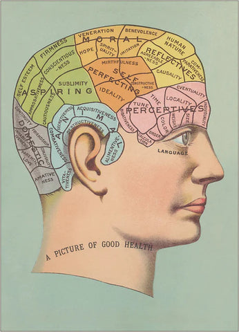 Phrenology Head Sticker Vintage Image
