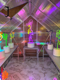 MONA Member Tour: Nights of Neon & Lisa Schulte’s Studio 10/6