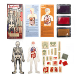 This image shows the front of the box, two colorful diagrams showing the human body. One is of vital organs and the other of the digestive system. Shows closed ink pads. One each of purple, red, and mustard. It shows all 12 skeleton wooden rubber stamps and a template for a body outline. Super cool set for kids and adults to play with. 