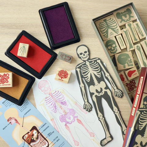 Skeleton Anatomy Stamp Set